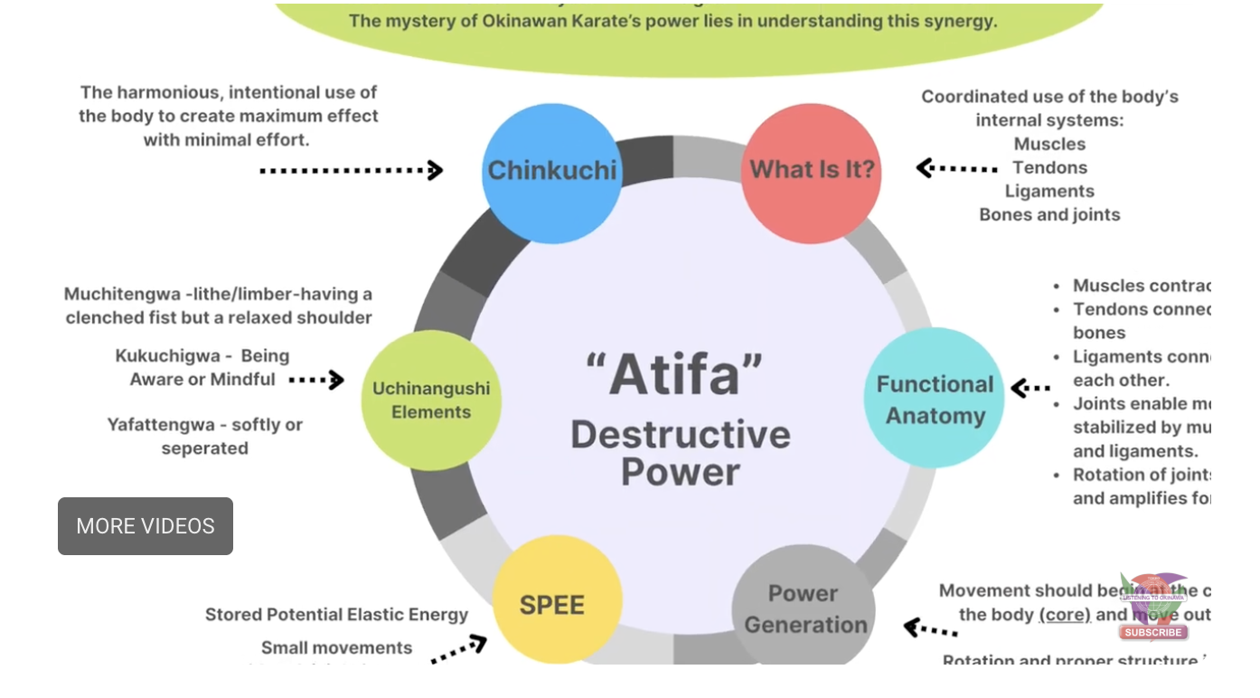 EDUCATIONAL VIDEO SERIES